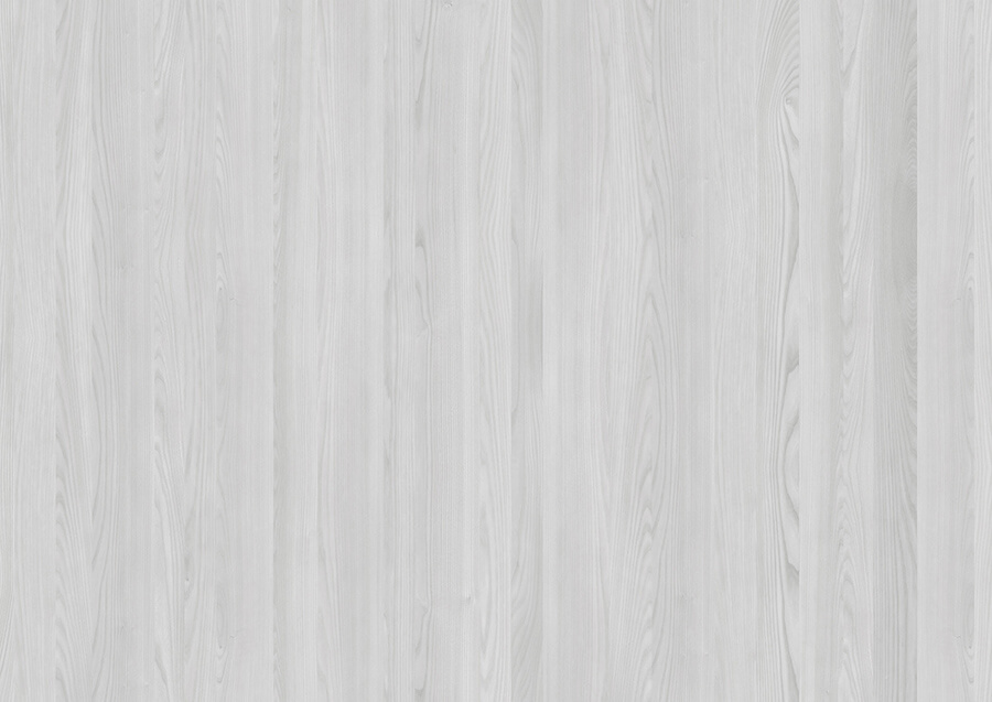 Olmo Gesso