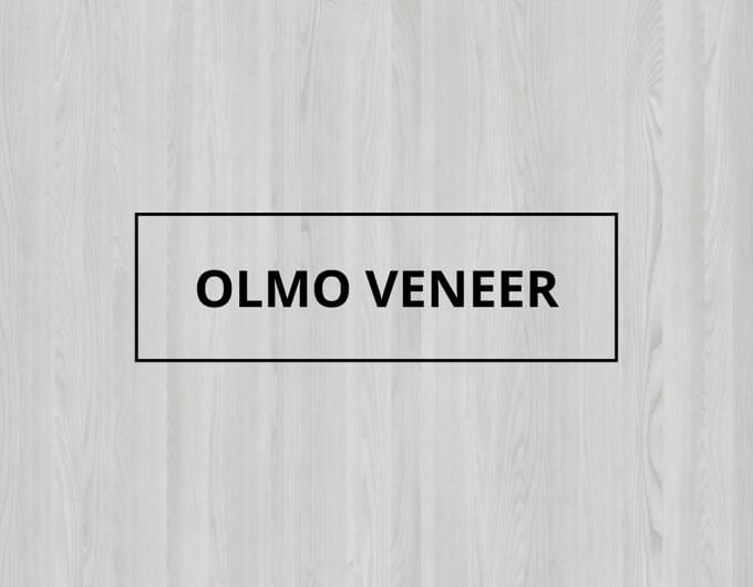 Olmo Veneer