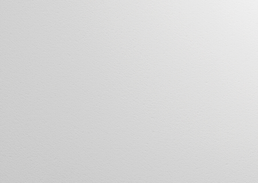 Bianco Assoluto Lithos