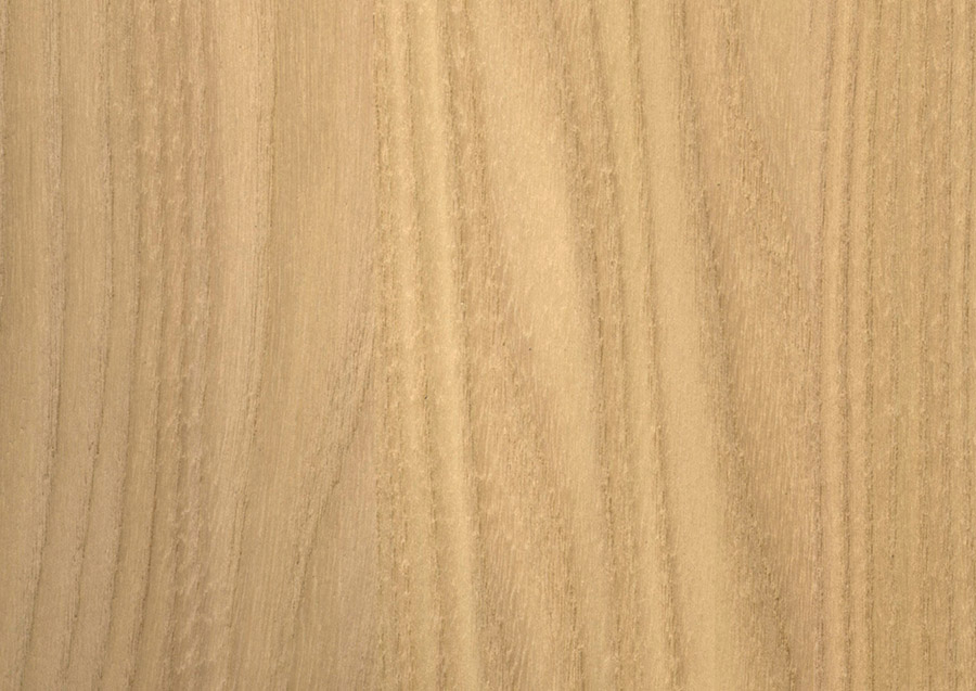 Silva Miele