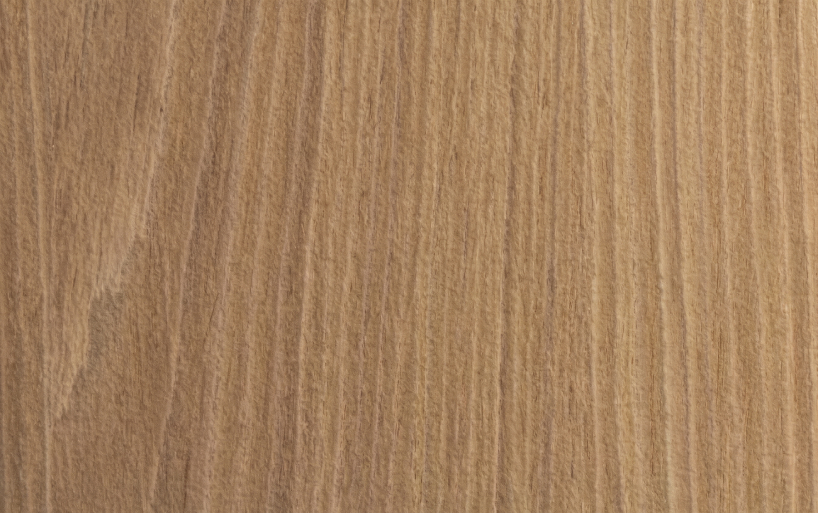 Premium Veneer